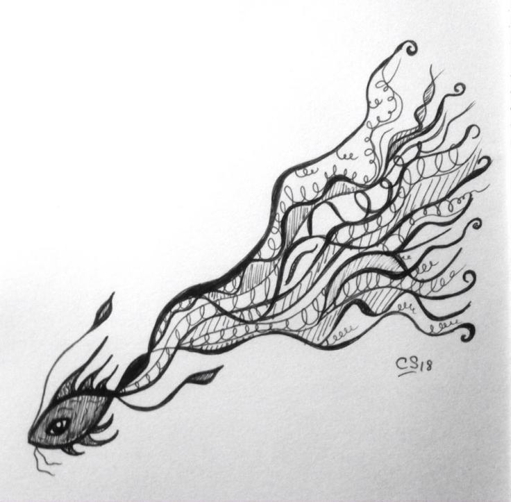 27332300_10156515959612971_4002000466583449900_n